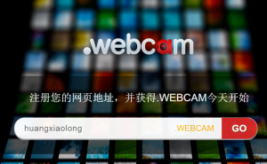 webcam0